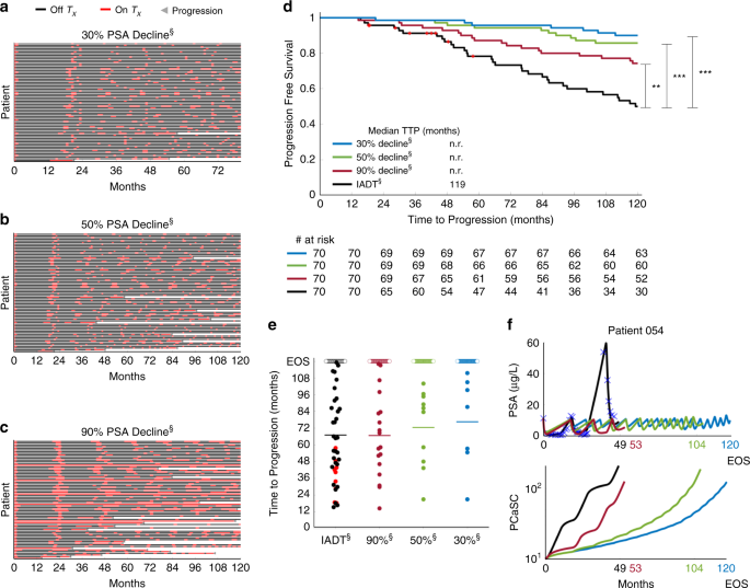 Prostate-specific antigen dynamics predict individual responses to  intermittent androgen deprivation | Nature Communications