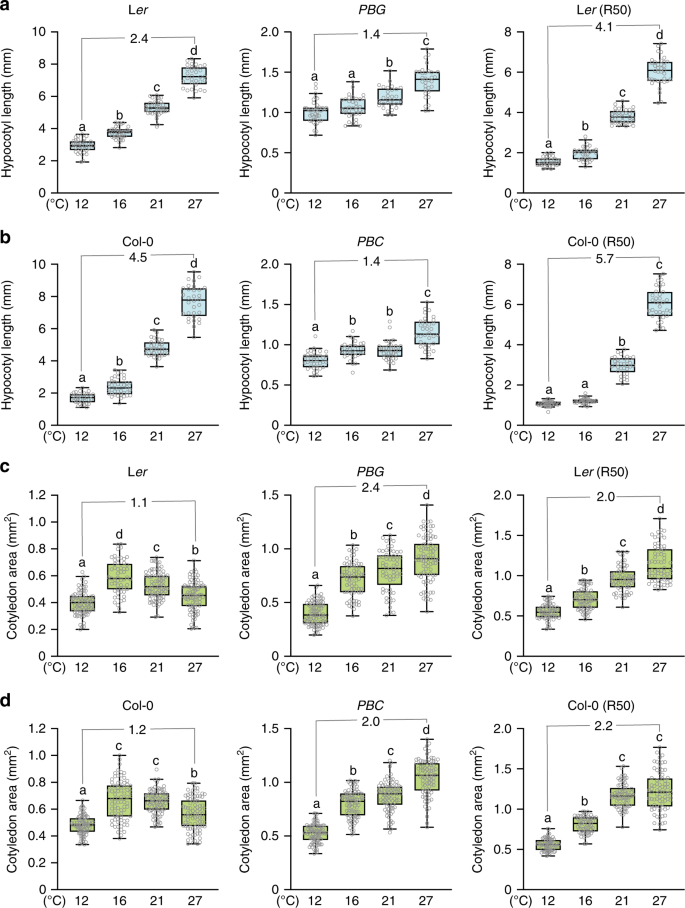 Increasing Ambient Temperature Progressively Disassembles Arabidopsis Phytochrome B From Individual Photobodies With Distinct Thermostabilities Nature Communications