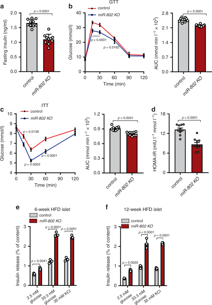 Fig. 5: miR-802 KO mice improves obesity-associated insulin resistance and glucose intolerance when fed with high fat diet (HFD).