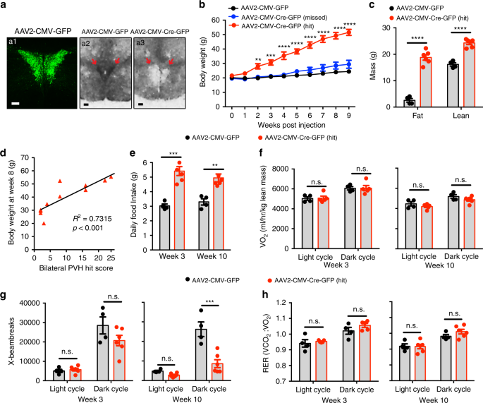 TrkB-expressing paraventricular hypothalamic neurons suppress appetite  through multiple neurocircuits