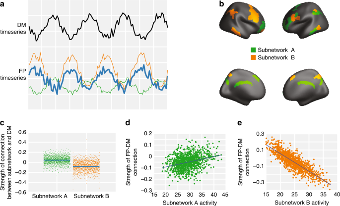 Fig. 1: Subnetworks of the frontoparietal system.