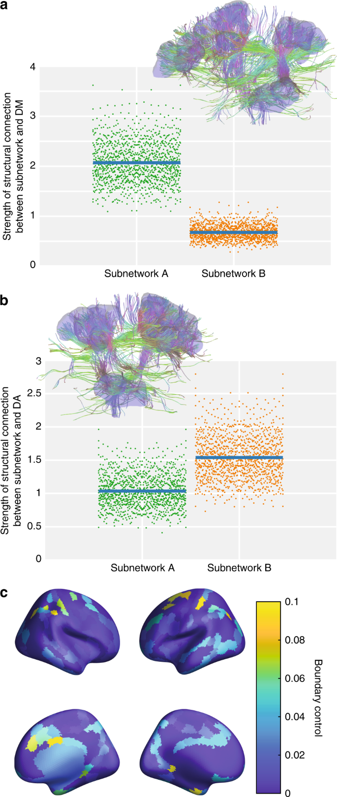 Fig. 2: White matter connectivity of the frontoparietal subnetworks.