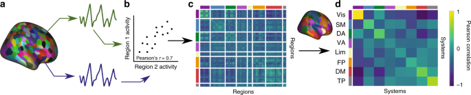 Fig. 4: Methodological schematic.