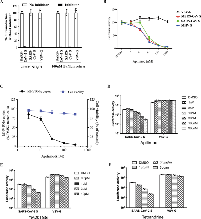 Characterization Of Spike Glycoprotein Of Sars Cov 2 On Virus Entry And Its Immune Cross Reactivity With Sars Cov Nature Communications