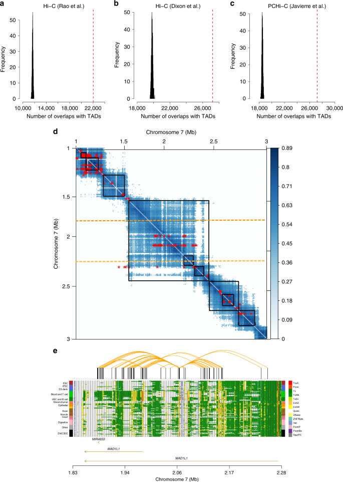 Fig. 2: Overlap of the predicted PAIs with TADs identified by Hi-C and PCHi-C.