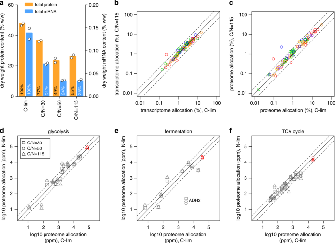 Fig. 2: Transcriptome and proteome reserves for different cellular processes.