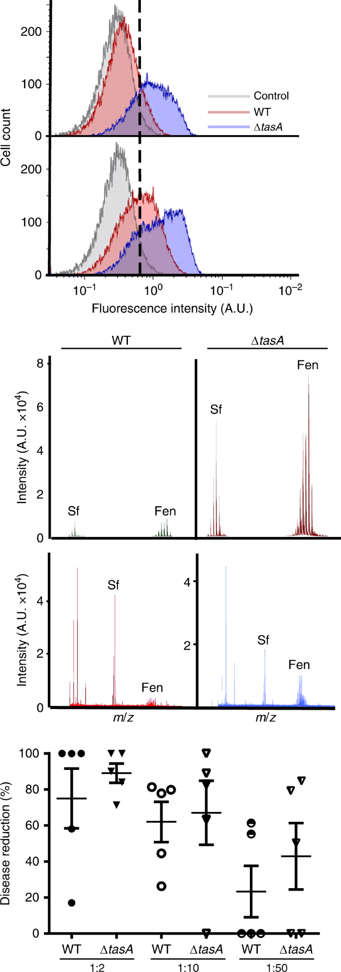 Dual Functionality Of The Amyloid Protein Tasa In Bacillus Physiology And Fitness On The Phylloplane Nature Communications Dual Functionality Of The Amyloid Protein Tasa In Bacillus Physiology And Fitness On The Phylloplane Nature Communications