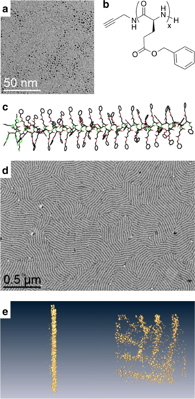 Bidimensional Lamellar Assembly By Coordination Of Peptidic Homopolymers To Platinum Nanoparticles Nature Communications