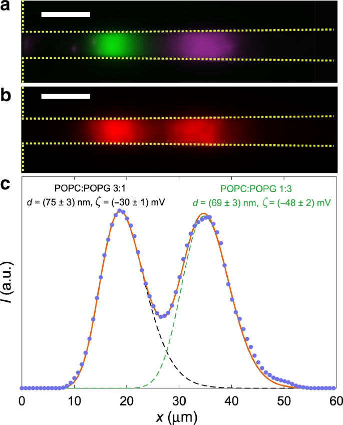 Size And Surface Charge Characterization Of Nanoparticles With A Salt Gradient Nature Communications