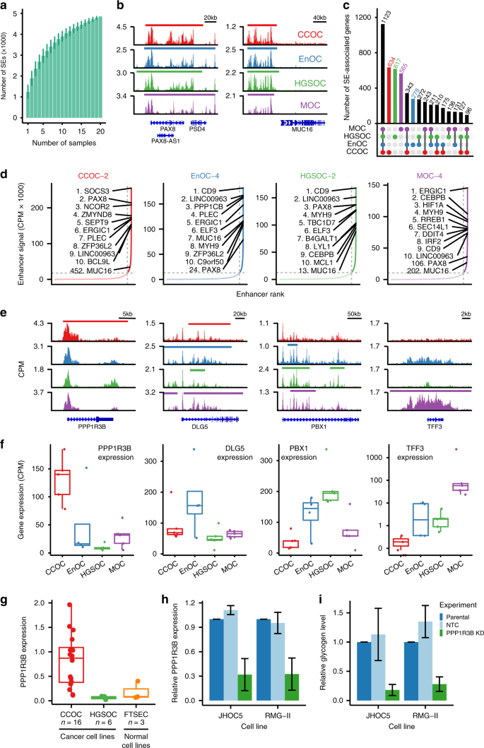 Fig. 2: Histotype-specific super-enhancers.