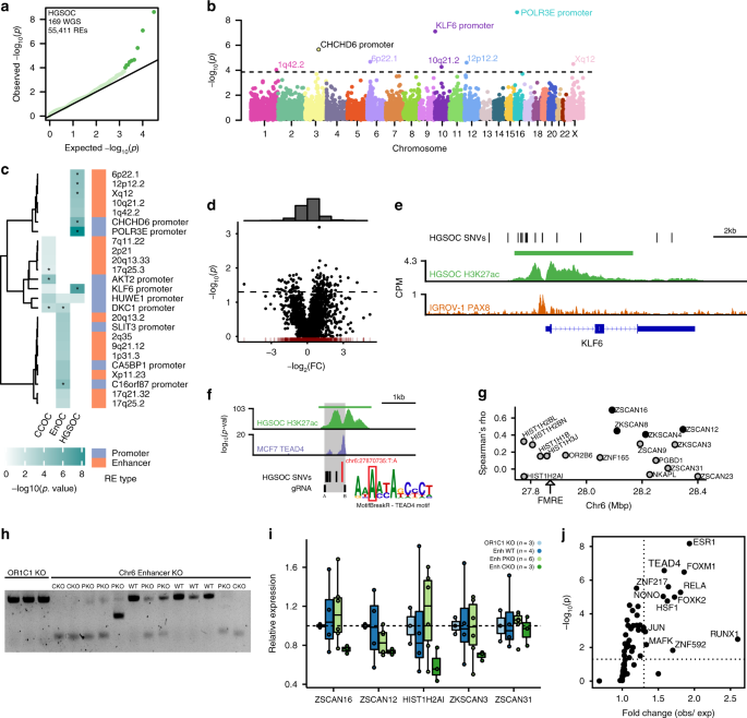 Fig. 3: Frequently mutated regulatory elements (FMREs) in OC.