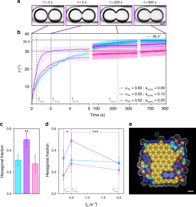 Fig. 3: The kinetics of contact angle equilibration affects hexagonal packing.