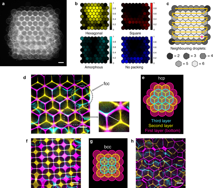 Fig. 4: Packing arrangements in the first layer propagate to the upper layers.