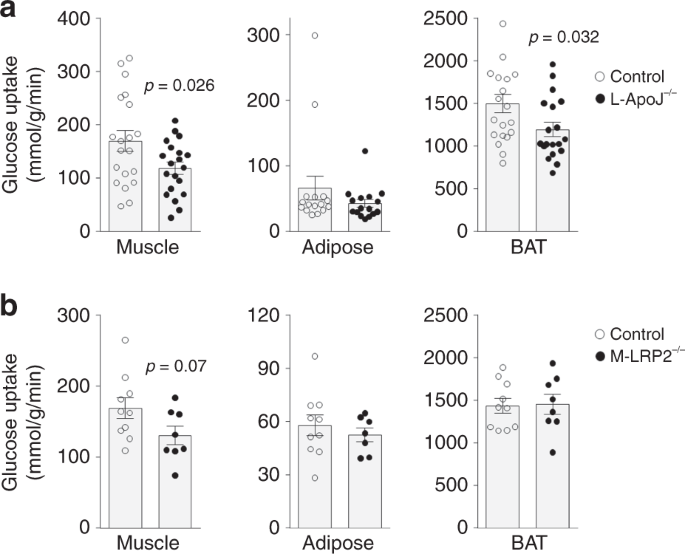 Apolipoprotein J Is A Hepatokine Regulating Muscle Glucose Metabolism And Insulin Sensitivity Nature Communications