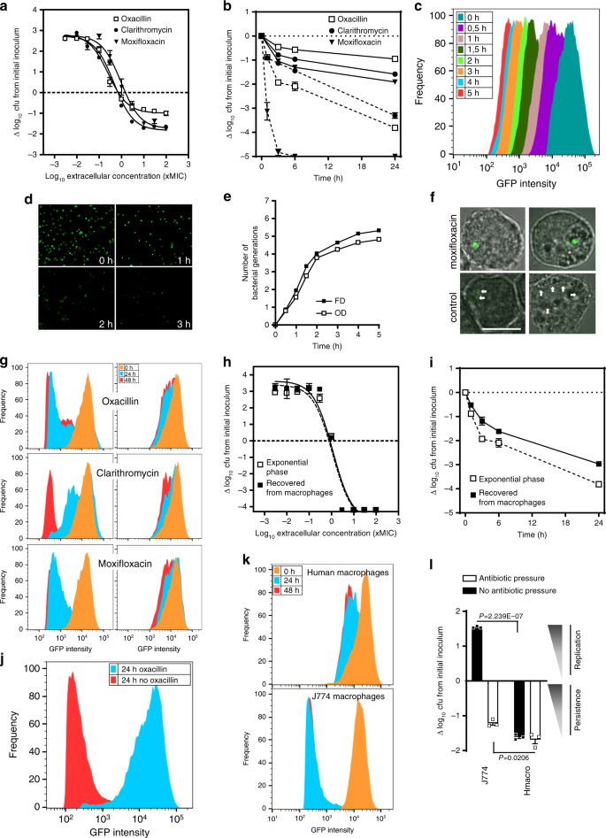 Frontiers  Selective Host Cell Death by Staphylococcus aureus: A Strategy  for Bacterial Persistence