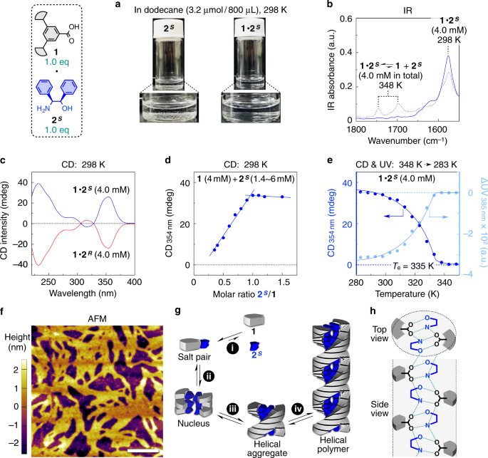 Helical Supramolecular Polymers With Rationally Designed Binding Sites For Chiral Guest Recognition Nature Communications Helical Supramolecular Polymers With Rationally Designed Binding Sites For Chiral Guest Recognition Nature Communications