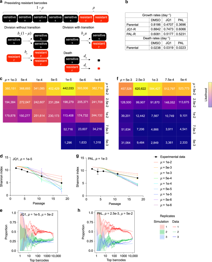 Acquired Resistance To Combined Bet And Cdk4 6 Inhibition In Triple Negative Breast Cancer Nature Communications