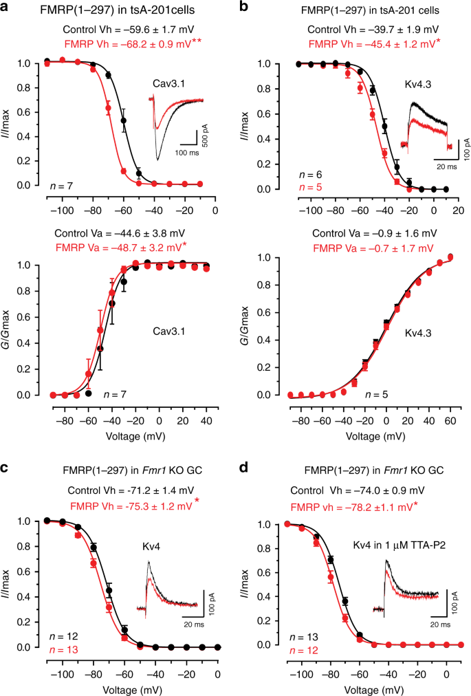 FMRP(1–297)-tat restores ion channel and synaptic function in a