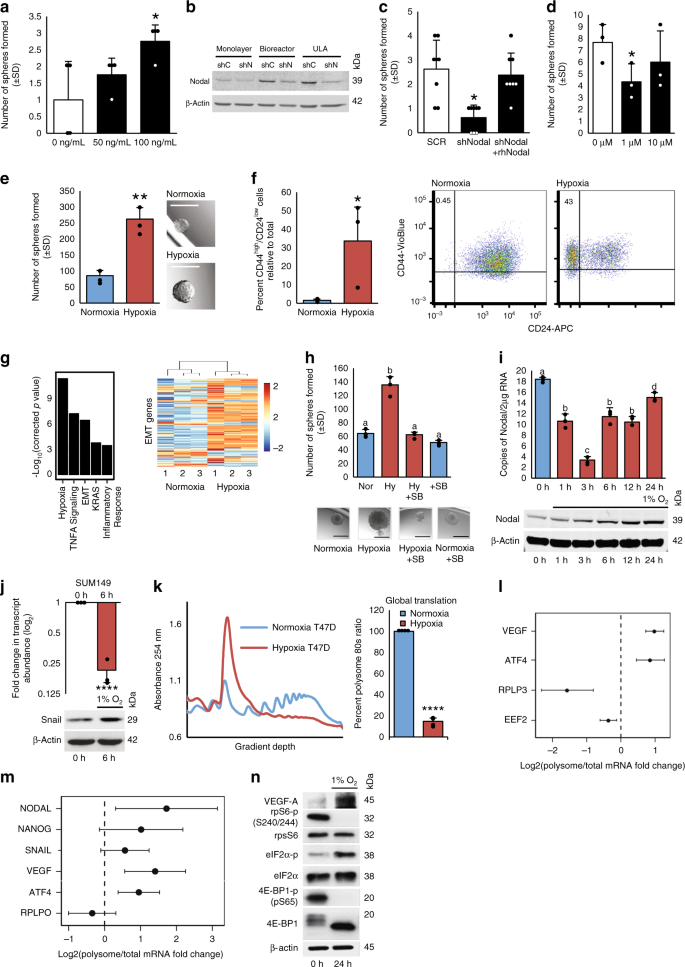 Translational Control Of Breast Cancer Plasticity Nature Communications