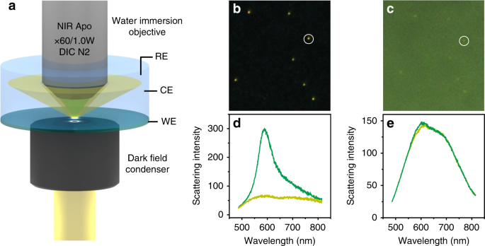 Fig. 1: A novel setup for the electrochemical dark field scattering technique.