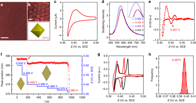 Fig. 2: Study of Ag electrodeposit on the octahedral Au nanocrystals surface.