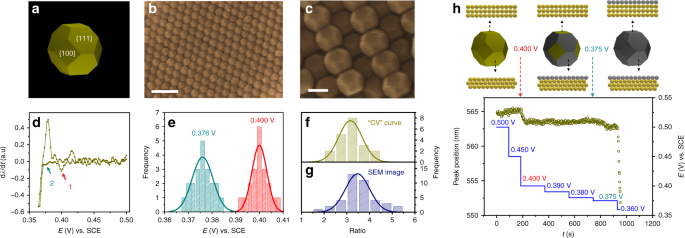 Fig. 4: Study of Ag electrodeposit on truncated octahedral Au nanocrystals.