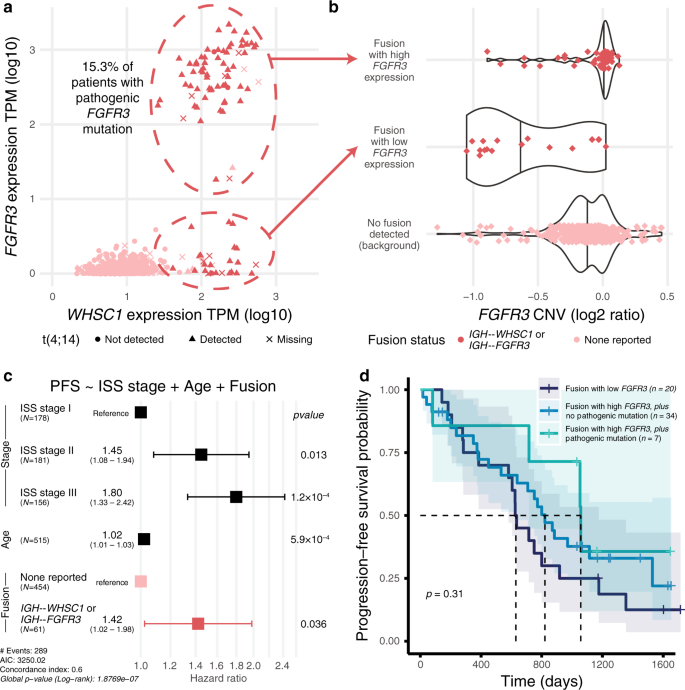 Fig. 5: t(4;14) WHSC1 and FGFR3 expression and survival patterns.