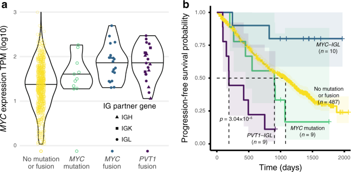 Fig. 6: MYC translocation fusion partners and survival differences.