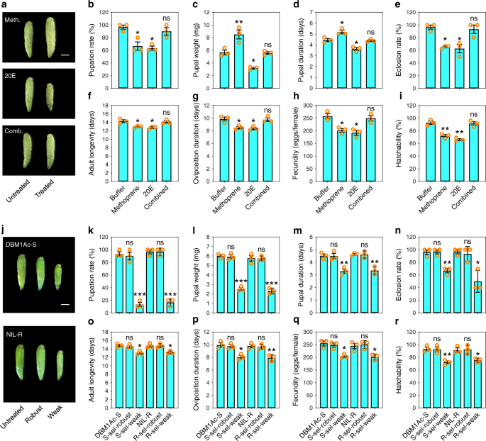 Fig. 7: The effect of hormone or Cry1Ac exposure on life-history traits in P. xylostella.