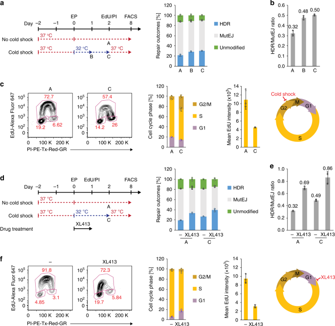 Synergistic Gene Editing In Human Ips Cells Via Cell Cycle And Dna Repair Modulation Nature Communications