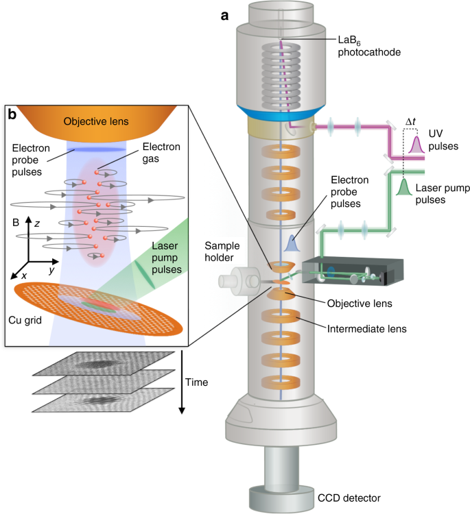 Transient Lensing From A Photoemitted Electron Gas Imaged By Ultrafast Electron Microscopy Nature Communications