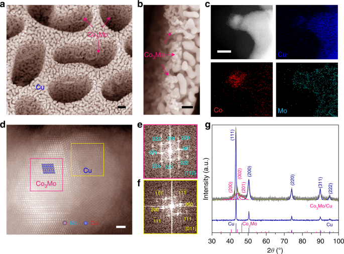 Fig. 1: Microstructures and chemical properties.