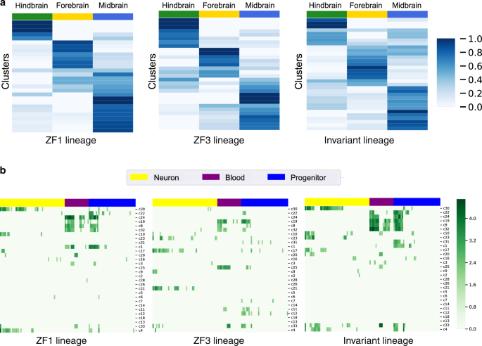 Fig. 5: Functional analysis of cell clusters for scGESTALT datasets.