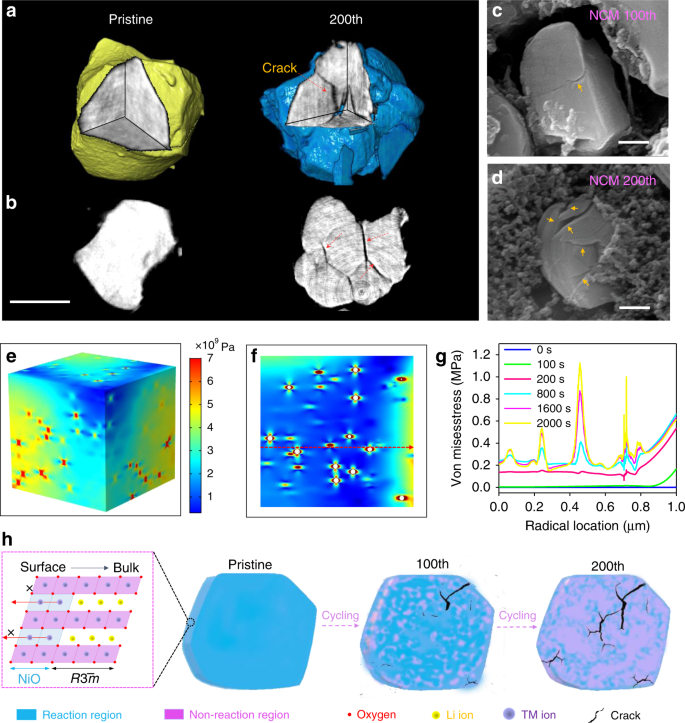 Surface Regulation Enables High Stability Of Single Crystal Lithium Ion Cathodes At High Voltage Nature Communications