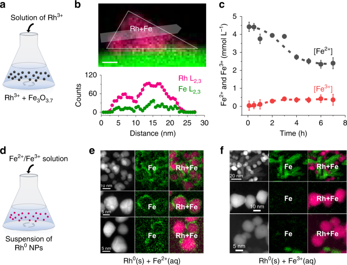 鉄の化学が驚くほど効果的な触媒を作る (Iron Chemistry Yields Surprisingly Effective Catalyst)