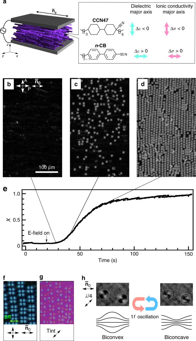 Kinetics Of Motile Solitons In Nematic Liquid Crystals Nature Communications