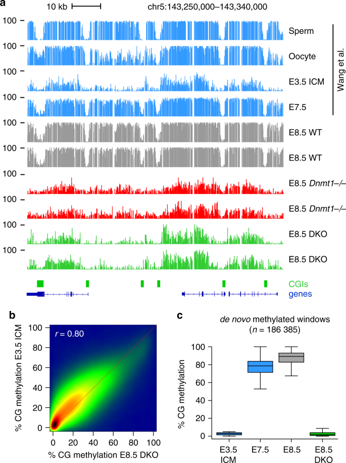 Genome Wide Analysis In The Mouse Embryo Reveals The Importance Of Dna Methylation For Transcription Integrity Nature Communications