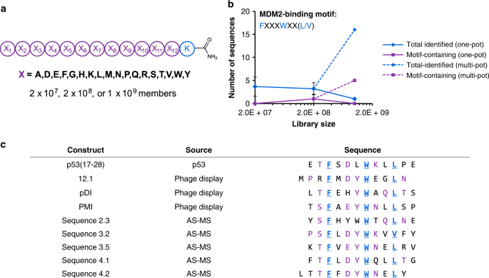Ultra Large Chemical Libraries For The Discovery Of High Affinity Peptide Binders Nature Communications Ultra Large Chemical Libraries For The Discovery Of High Affinity Peptide Binders Nature Communications