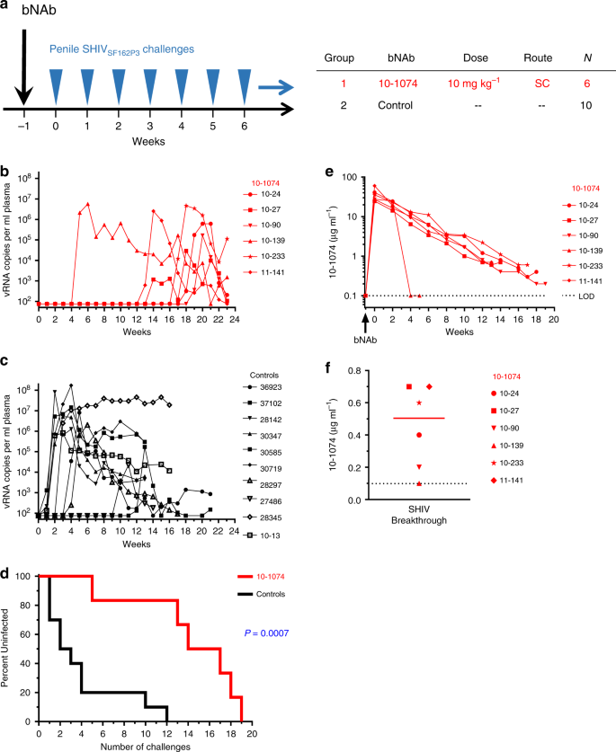 Fig. 1: Passive immunization of macaques with bNAb 10–1074 delays SHIV acquisition following repeated penile SHIV challenges.