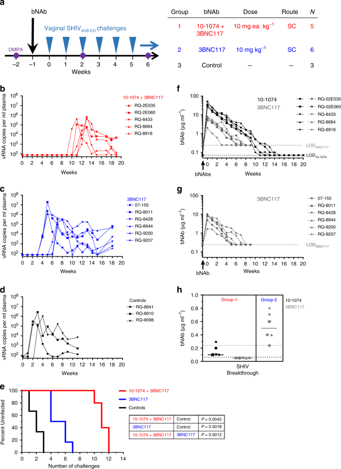 Fig. 3: Passive immunization with bNAbs 10–1074 and 3BNC117 in combination, or 3BNC117 singly, delays SHIV acquisition following repeated vaginal challenges in DMPA-treated macaques.