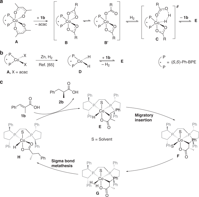 Cobalt Catalyzed Highly Enantioselective Hydrogenation Of A B Unsaturated Carboxylic Acids Nature Communications