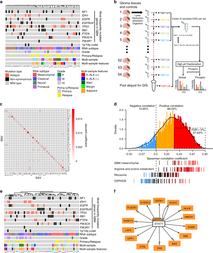 Integrated Pharmaco Proteogenomics Defines Two Subgroups In Isocitrate Dehydrogenase Wild Type Glioblastoma With Prognostic And Therapeutic Opportunities Nature Communications