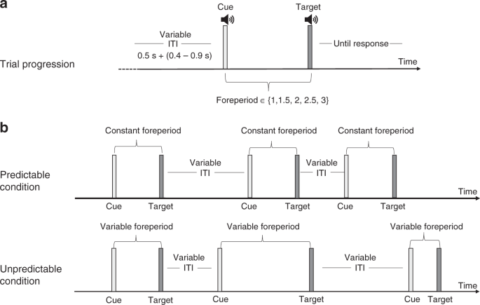 Fig. 1: Experimental procedure of Experiment 1.