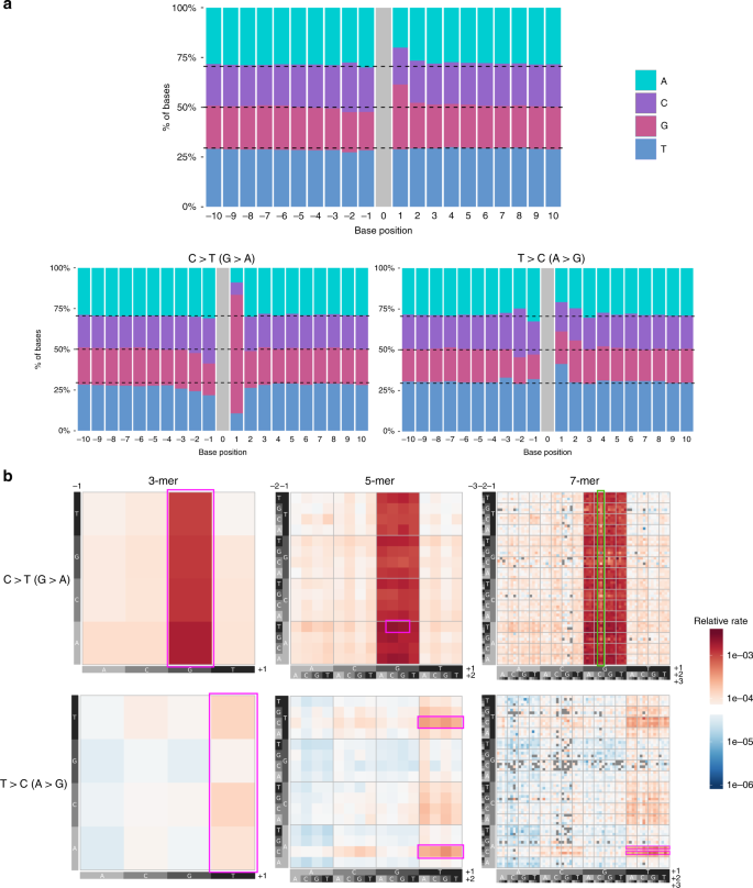 Germline De Novo Mutation Rates On Exons Versus Introns In Humans Nature Communications