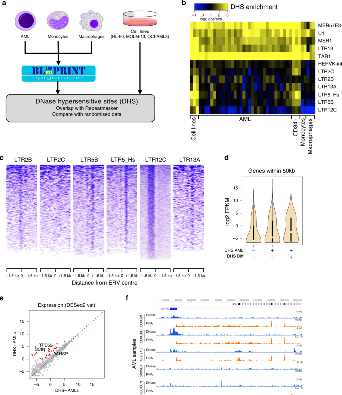 Endogenous Retroviruses Are A Source Of Enhancers With Oncogenic Potential In Acute Myeloid Leukaemia Nature Communications