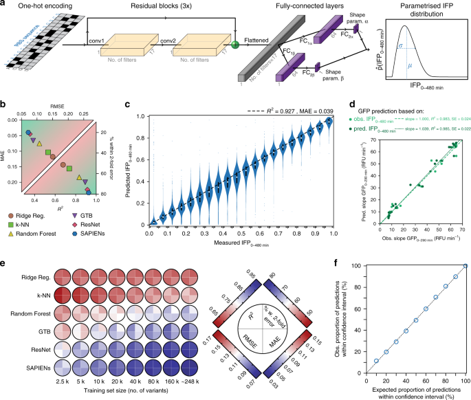 Fig. 4: Quantitative prediction of RBS activity with SAPIENs.