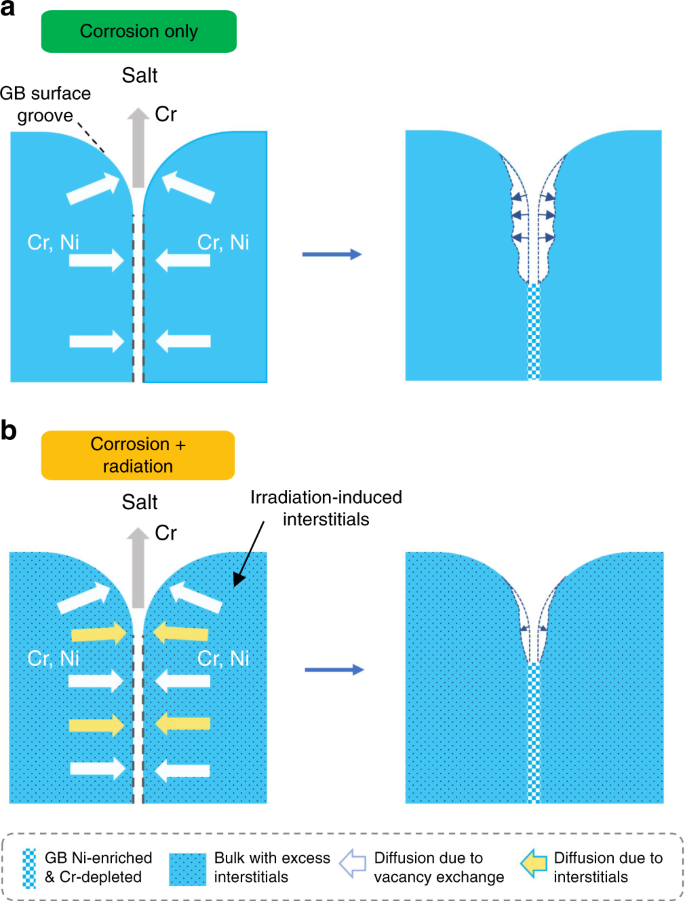 Proton irradiation-decelerated intergranular corrosion of Ni-Cr alloys in molten  salt | Nature Communications