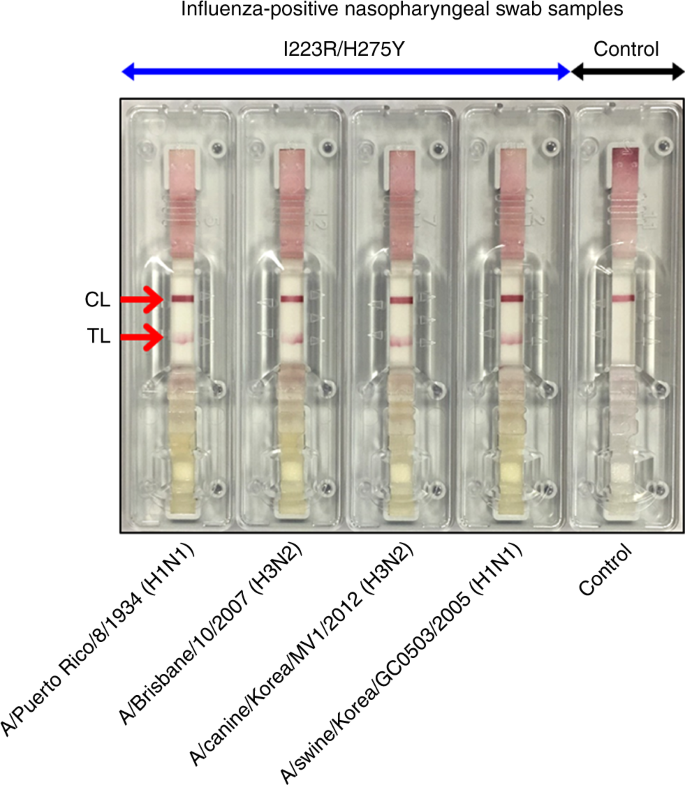 figure 9