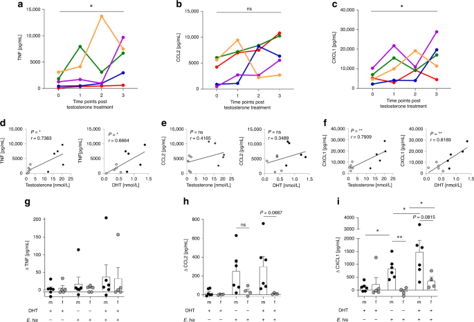 Fig. 6: Androgens modulates secretion of TNF and CXCL1 by PBMCs from transgender men.