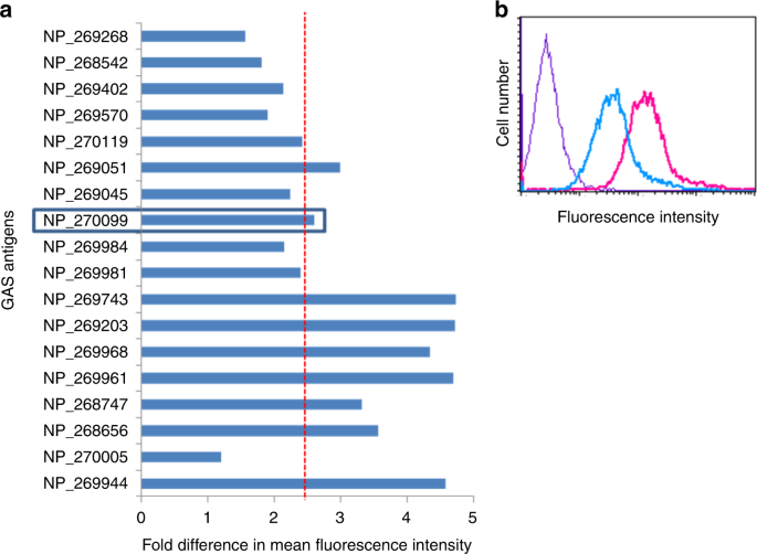 Fig. 1: Surface localization of potential vaccine candidates on GAS M49 surface.